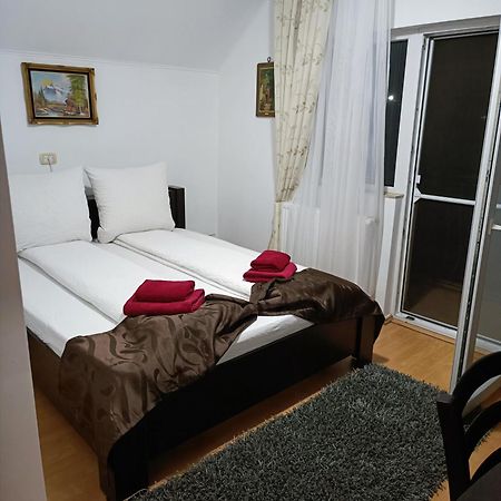 Family Pension Arad Exterior photo