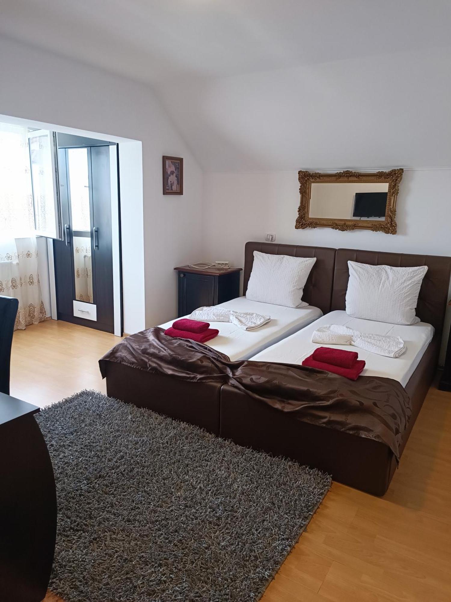 Family Pension Arad Exterior photo