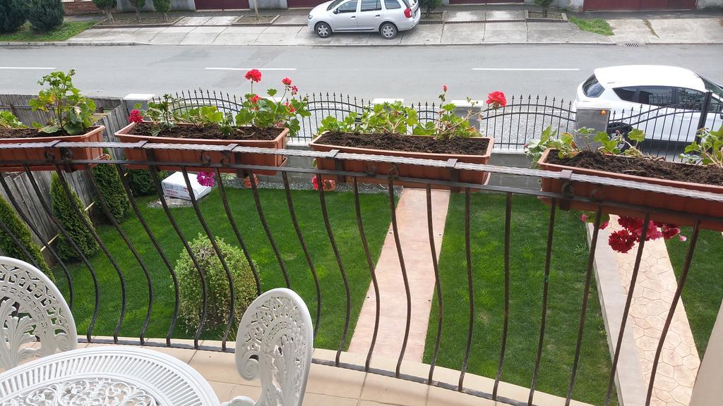 Family Pension Arad Exterior photo